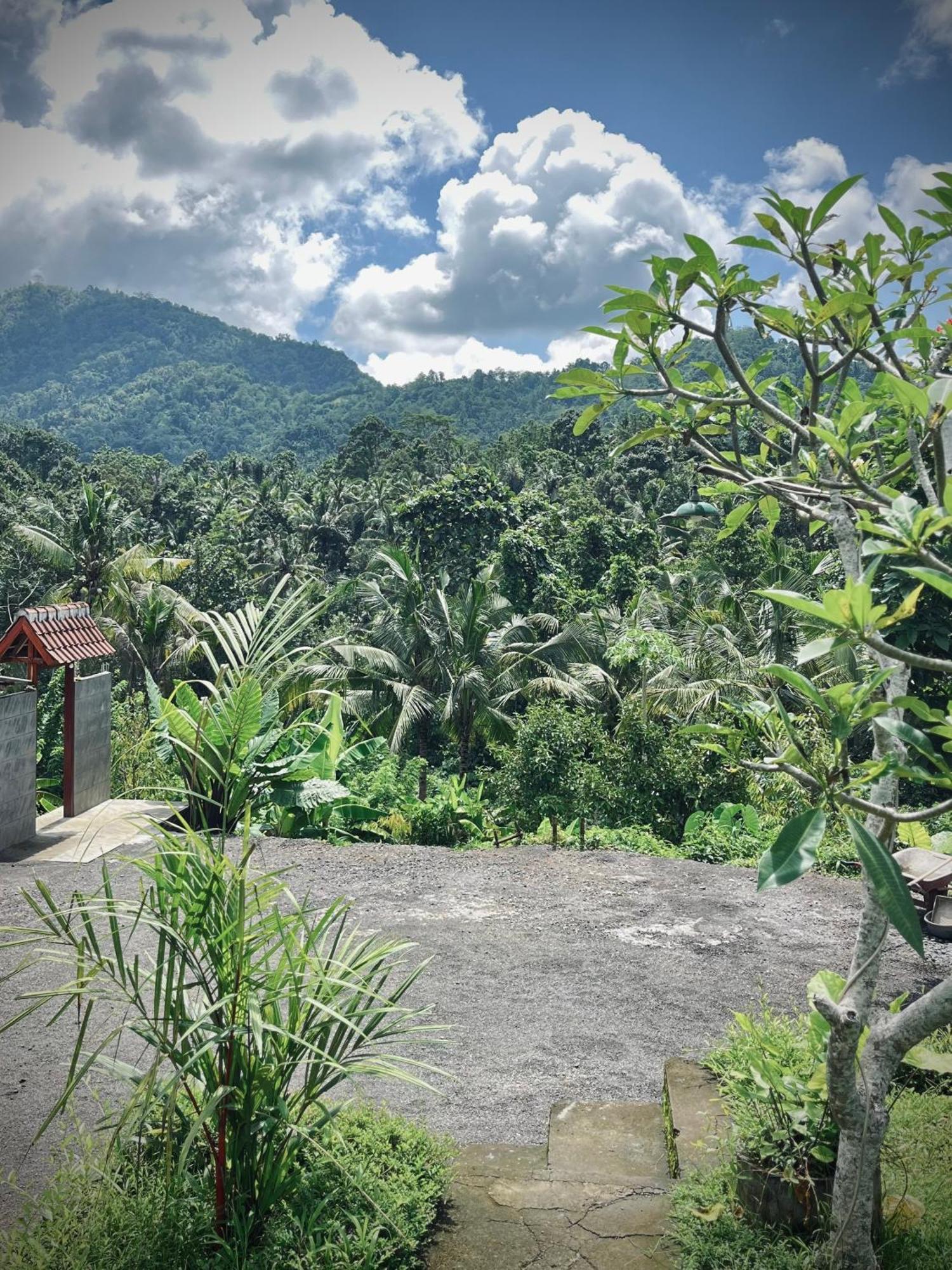 Papahan Bali Sidemen  Exterior foto